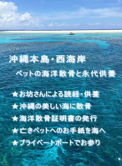 沖縄本島　西海岸　海洋散骨と供養　お坊さんによる読経　沖縄の美しい海に散骨　海洋散骨証明書の発行　亡きペットへのお手紙を海へ　プライベートボートでお参り
